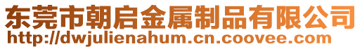 東莞市朝啟金屬制品有限公司