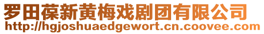 羅田葆新黃梅戲劇團有限公司