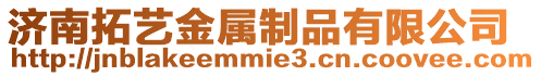 濟(jì)南拓藝金屬制品有限公司