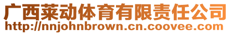 廣西萊動體育有限責任公司