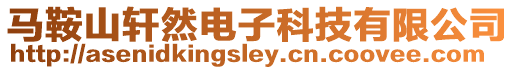 馬鞍山軒然電子科技有限公司