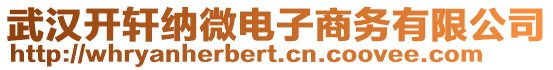 武漢開軒納微電子商務有限公司