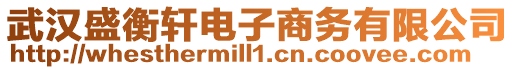 武漢盛衡軒電子商務(wù)有限公司