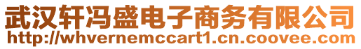 武漢軒馮盛電子商務有限公司