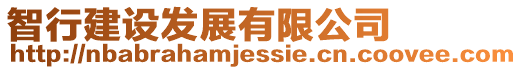 智行建設(shè)發(fā)展有限公司