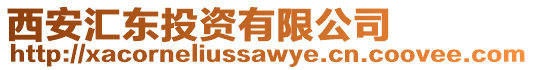 西安匯東投資有限公司