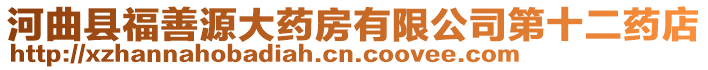 河曲縣福善源大藥房有限公司第十二藥店