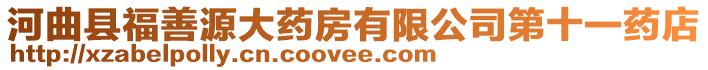 河曲縣福善源大藥房有限公司第十一藥店