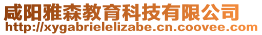 咸陽雅森教育科技有限公司