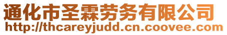 通化市圣霖勞務(wù)有限公司