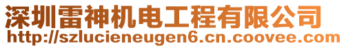 深圳雷神機電工程有限公司