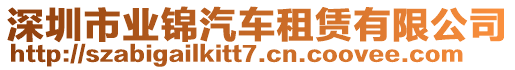 深圳市業(yè)錦汽車租賃有限公司