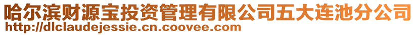 哈尔滨财源宝投资管理有限公司五大连池分公司