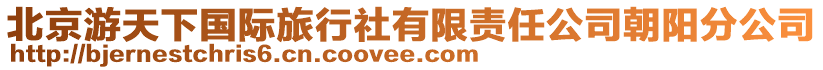 北京游天下國際旅行社有限責任公司朝陽分公司
