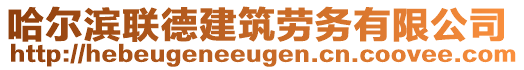 哈爾濱聯(lián)德建筑勞務(wù)有限公司