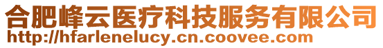 合肥峰云醫(yī)療科技服務有限公司