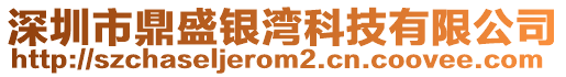 深圳市鼎盛銀灣科技有限公司