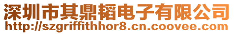 深圳市其鼎韜電子有限公司