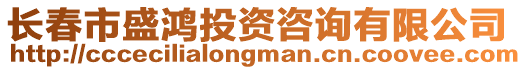長春市盛鴻投資咨詢有限公司