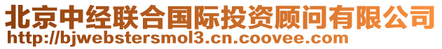 北京中經聯合國際投資顧問有限公司