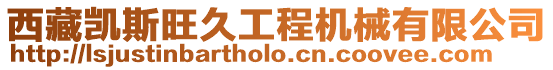 西藏凱斯旺久工程機械有限公司