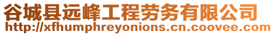 谷城縣遠峰工程勞務有限公司