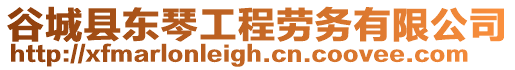谷城縣東琴工程勞務有限公司
