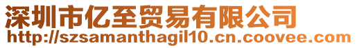 深圳市億至貿易有限公司