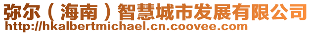 彌爾(海南)智慧城市發展有限公司