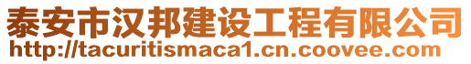 泰安市漢邦建設工程有限公司