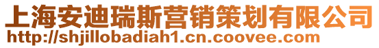 上海安迪瑞斯營銷策劃有限公司