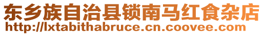 東鄉(xiāng)族自治縣鎖南馬紅食雜店