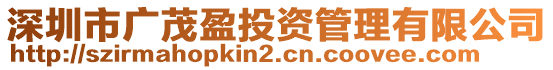 深圳市廣茂盈投資管理有限公司