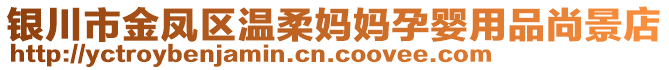 銀川市金鳳區(qū)溫柔媽媽孕嬰用品尚景店