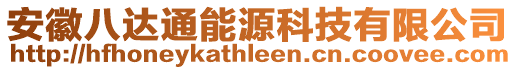 安徽八達通能源科技有限公司