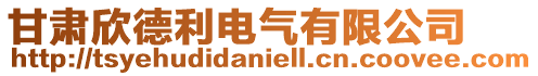 甘肅欣德利電氣有限公司
