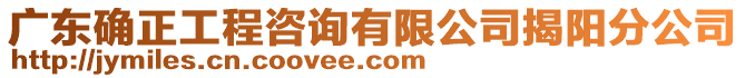 廣東確正工程咨詢有限公司揭陽分公司