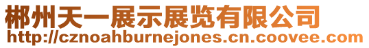郴州天一展示展覽有限公司