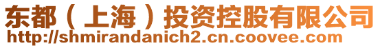東都(上海)投資控股有限公司