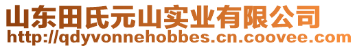 山東田氏元山實(shí)業(yè)有限公司