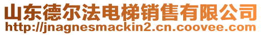 山東德爾法電梯銷售有限公司