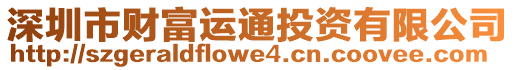 深圳市財富運通投資有限公司