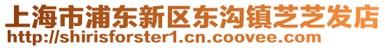 上海市浦東新區(qū)東溝鎮(zhèn)芝芝發(fā)店