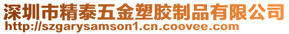 深圳市精泰五金塑膠制品有限公司