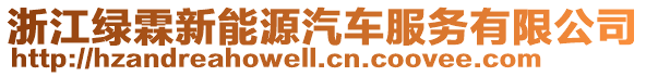 浙江綠霖新能源汽車服務(wù)有限公司