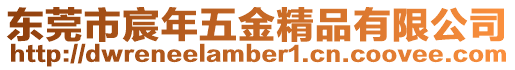 東莞市宸年五金精品有限公司