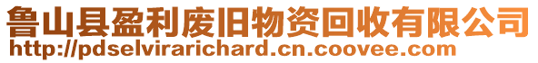 魯山縣盈利廢舊物資回收有限公司