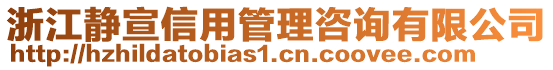 浙江靜宣信用管理咨詢有限公司