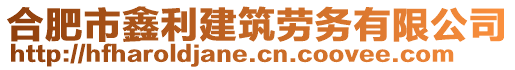 合肥市鑫利建筑勞務(wù)有限公司