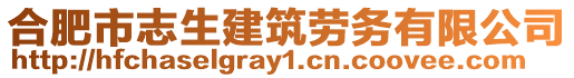 合肥市志生建筑勞務有限公司